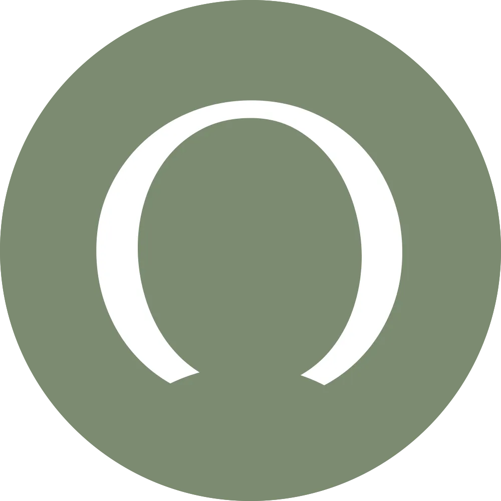 ochics.com-logo